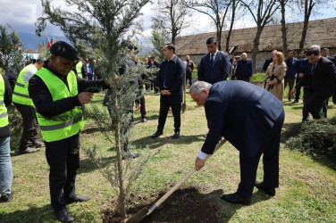 İsmayıllı rayonunda “Şəhərsalma və Memarlıq İli” çərçivəsində genişmiqyaslı ağacəkmə aksiyası keçirilib