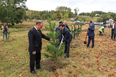 İsmayıllıda 27 sentyabr Anım Günü ilə əlaqədar Şəhidlər Xiyabanı ziyarət edilib