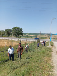 İsmayıllı rayonunda “Şəhərsalma və Memarlıq İli” çərçivəsində ümumrayon iməciliyi həyata keçirilib