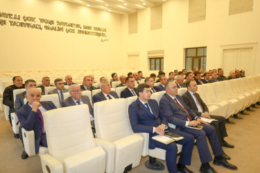 İsmayıllıda növbəti nümayəndə günü keçirilib