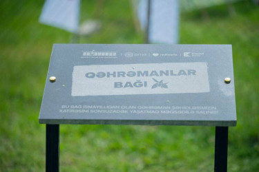 İsmayıllı rayonunda həyata keçirilən “Qəhrəmanlar Bağı” aksiyası çərçivəsində Vətən uğrunda canından keçmiş 189 şəhidimizin əziz xatirəsinə ağaclar əkildi