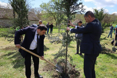 İsmayıllı rayonunda “Şəhərsalma və Memarlıq İli” çərçivəsində genişmiqyaslı ağacəkmə aksiyası keçirilib