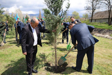 İsmayıllı rayonunda “Şəhərsalma və Memarlıq İli” çərçivəsində genişmiqyaslı ağacəkmə aksiyası keçirilib