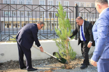 İsmayıllıda 8 noyabr - Zəfər Günü ilə əlaqədar ağacəkmə aksiyası keçirilib