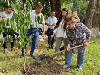 “COP 29”-a həsr olunmuş "Mədəniyyət fəalı" adlı bilik yarışı keçirilib