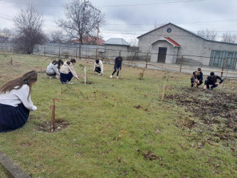 İsmayıllıda ümümrayon iməciliyi keçirilmişdir