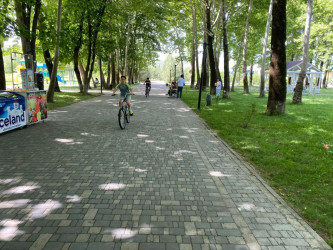“3 İyun – Dünya Velosiped Günü” münasibətilə İsmayıllıda velosiped turniri keçirilib